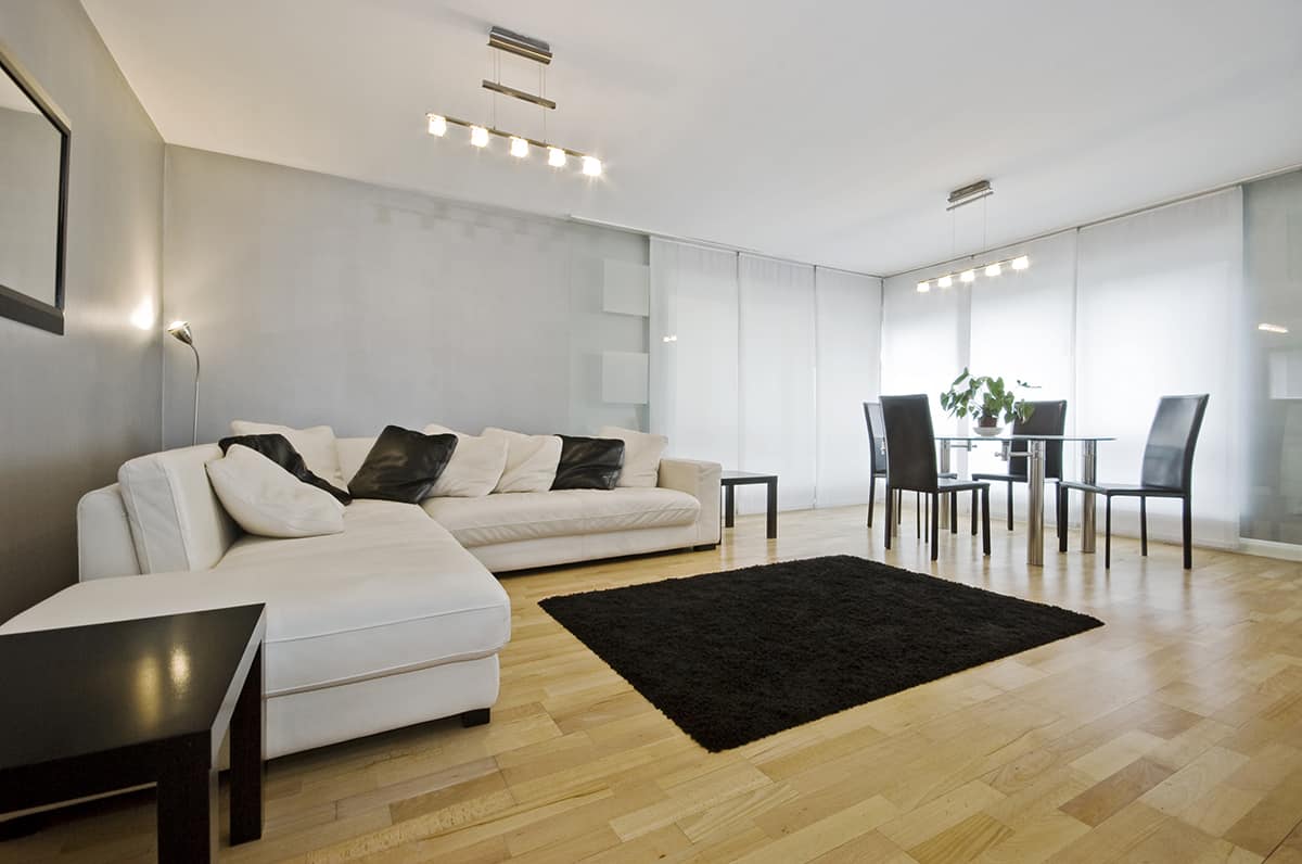 Pair Light Colored Walls with a Dark Area Rug