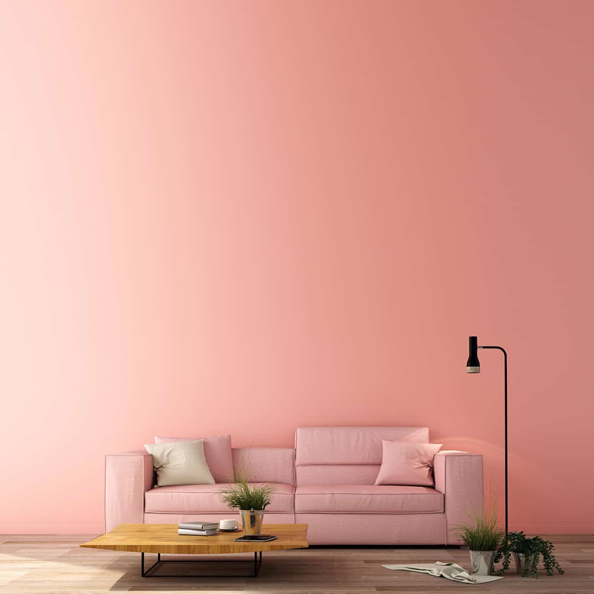 Coral Pink Wall with a Green Carpet
