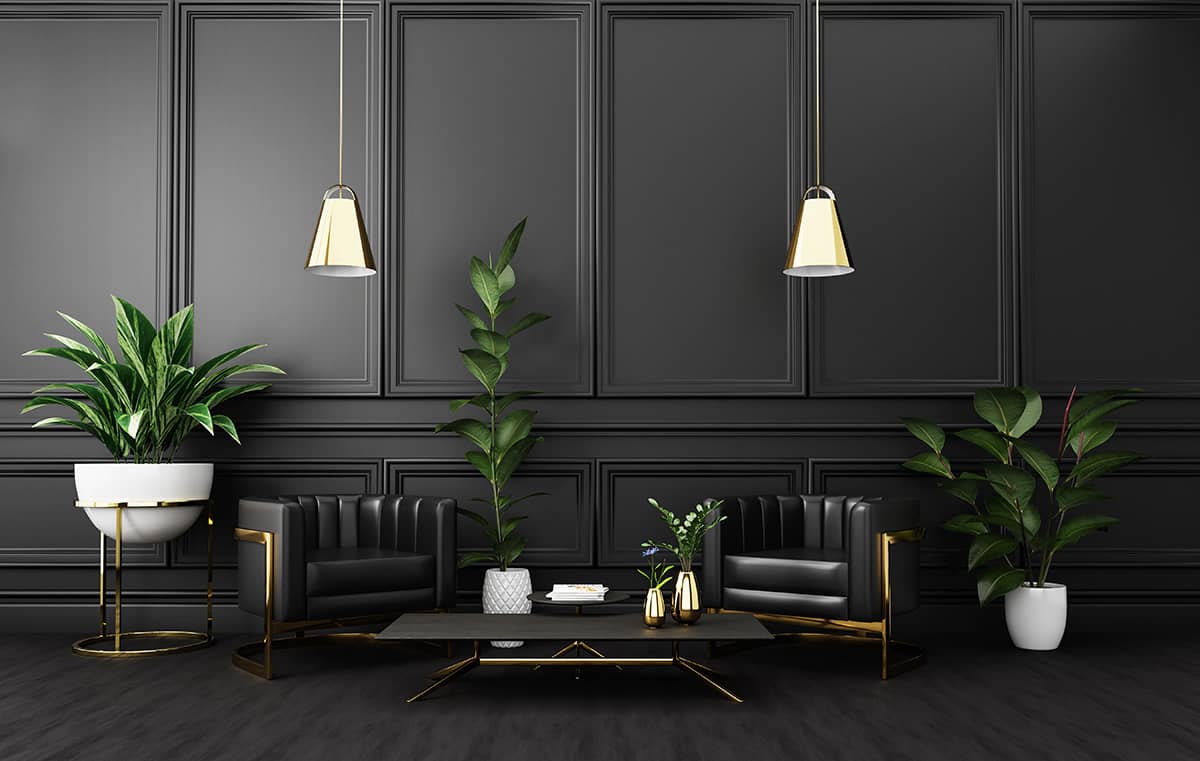 Black Sofa Colors for Dark Floors