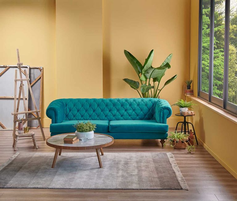 10 Modern Sofa Colors for Yellow Walls Homenish