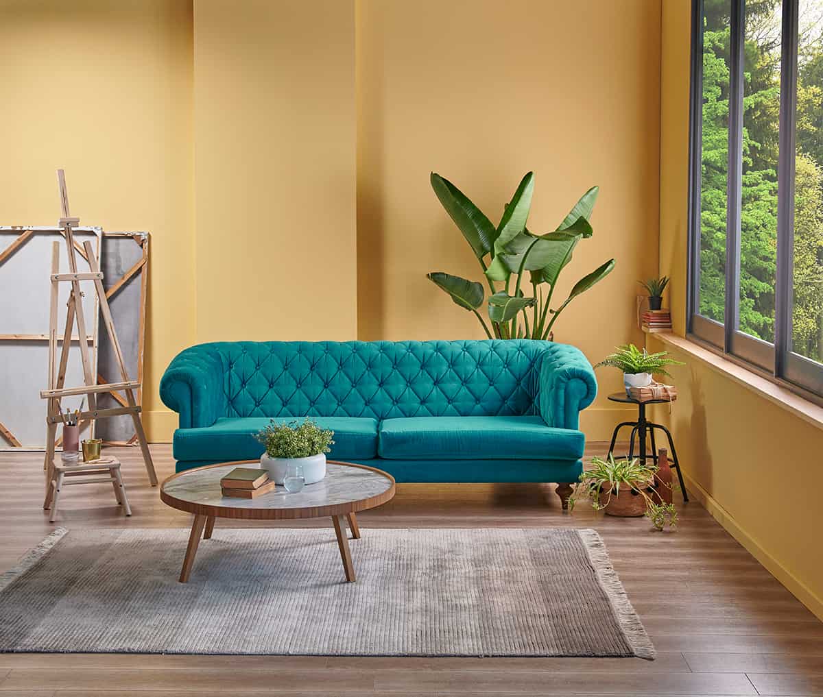 Blue Sofa Go with Yellow Walls