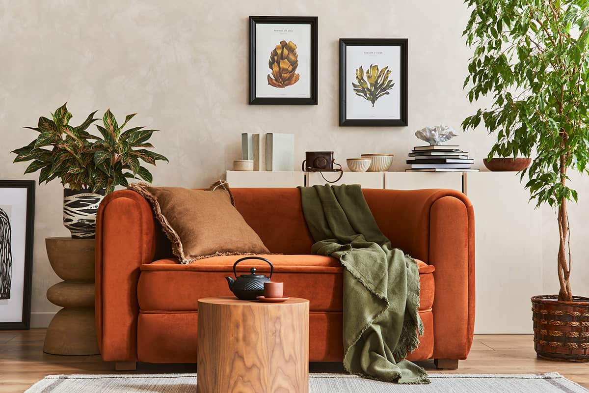 Bright Orange sofa