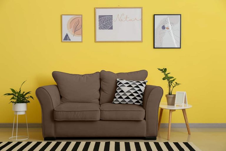 10 Modern Sofa Colors for Yellow Walls Homenish