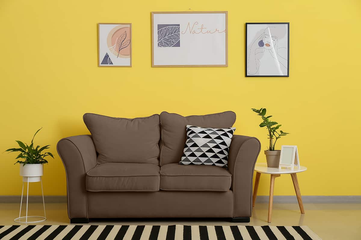 Brown Sofa Go with Yellow Walls