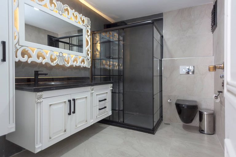 Do Frameless Shower Doors Leak? Homenish