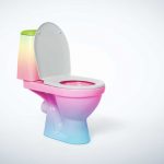Can you paint a toilet