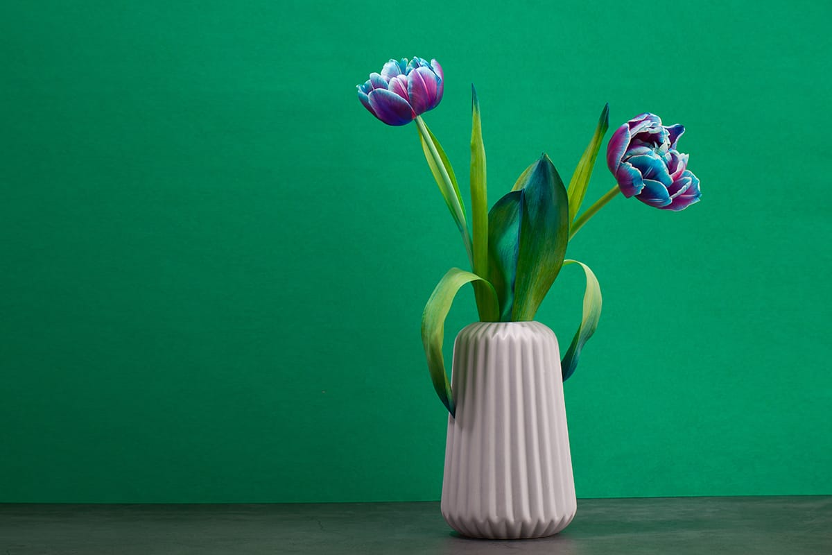 Cool colors
