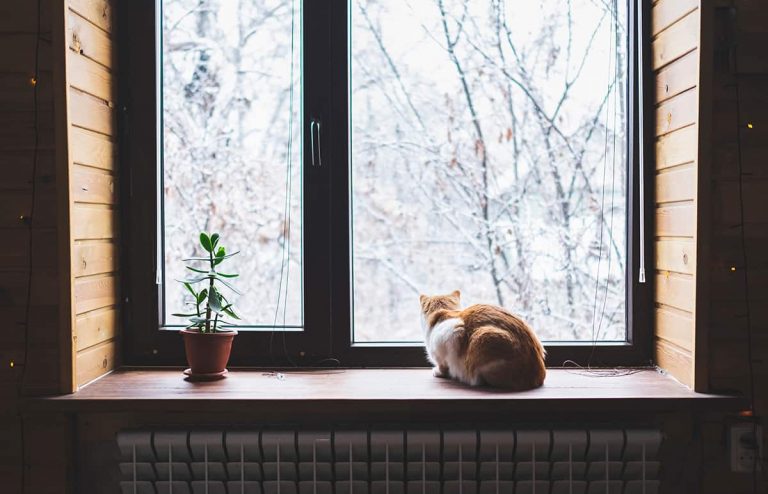 What Color to Paint Window Sills? [A Guide to Choosing the Perfect Shade]