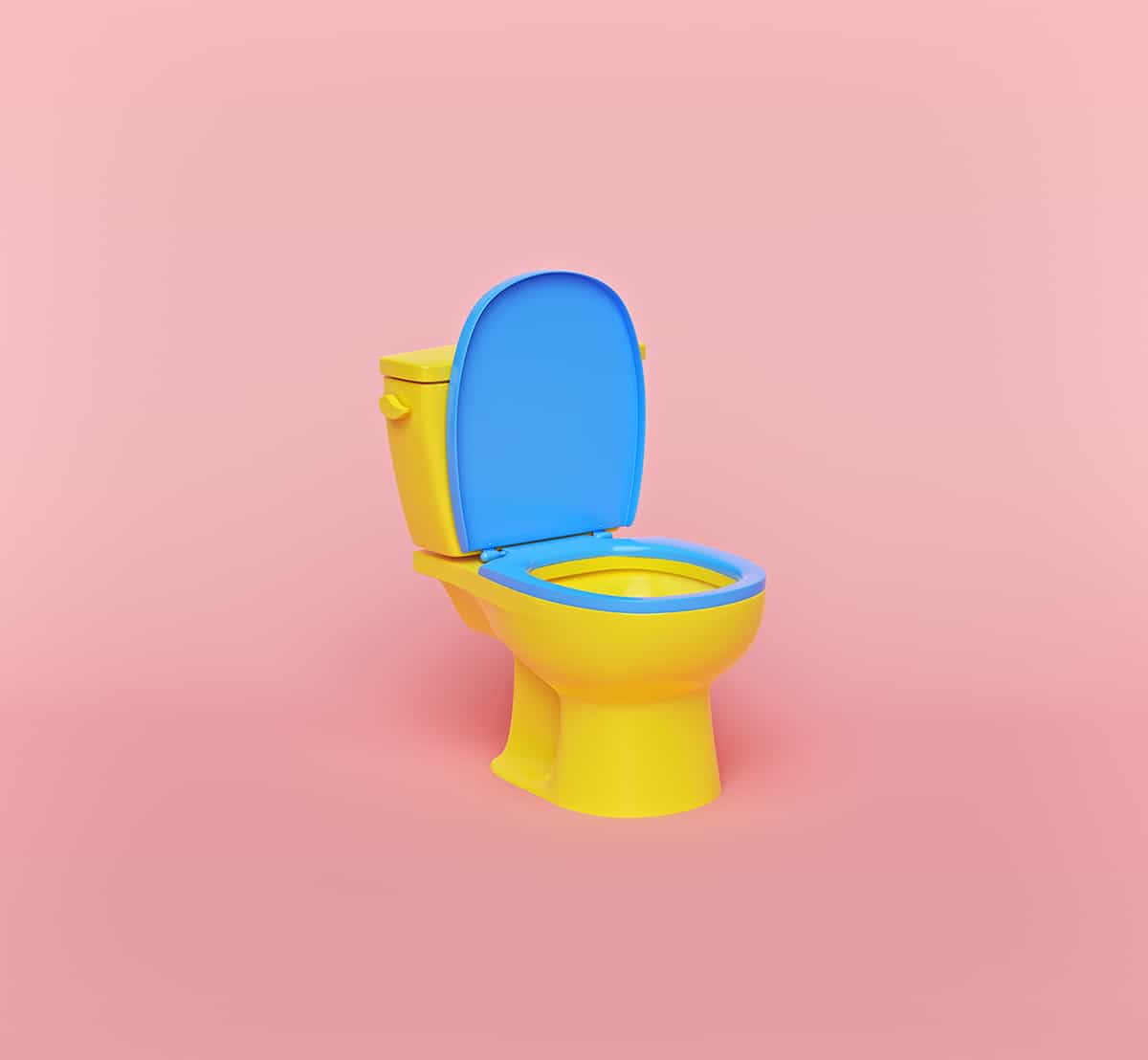 Why to Paint a Toilet