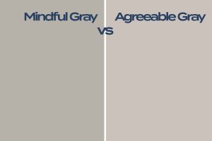 Mindful Gray vs Agreeable Gray