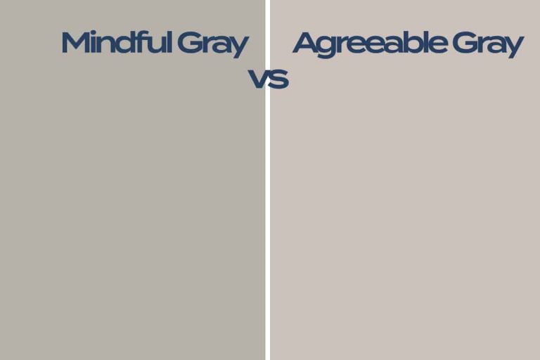 Mindful Gray vs Agreeable Gray Homenish