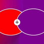 What Color Does Red and Purple Make