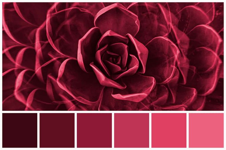 What is Monochrome Color? How to Use It - Homenish