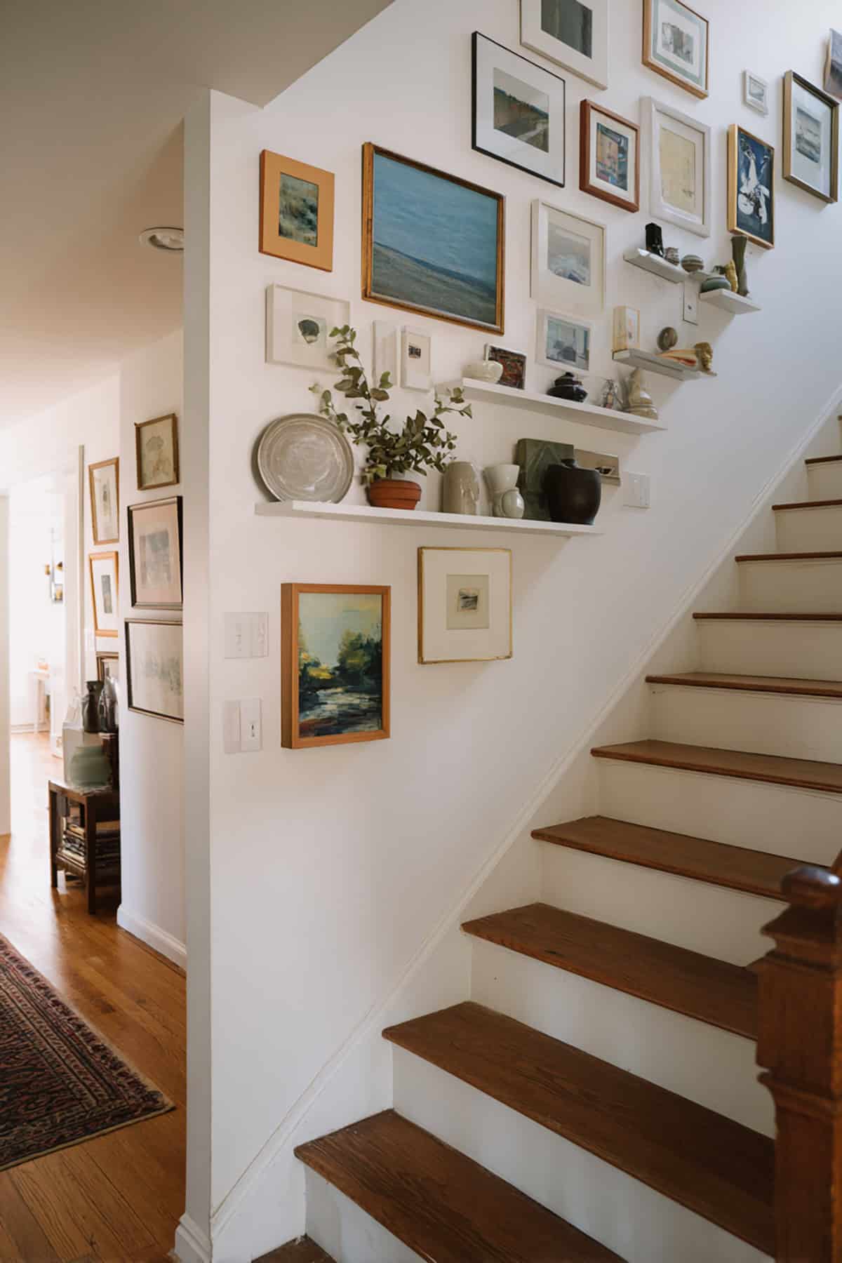 Collection Display Ledges