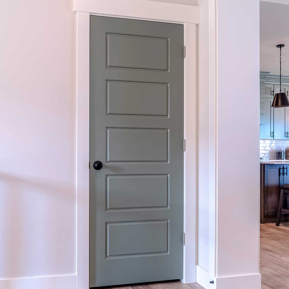 Contemporary Cool with Gray Interior Doors