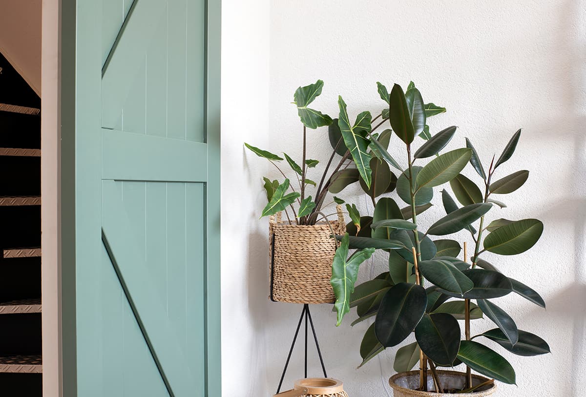 Fresh and Tranquil with Green Interior Doors