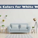 Sofa Colors for White Walls