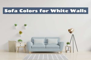 Sofa Colors for White Walls