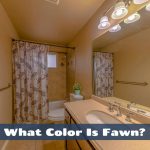 What color is fawn