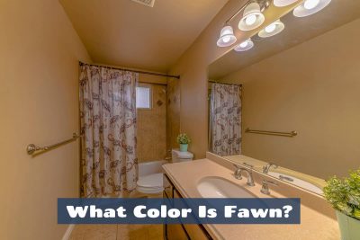 What color is fawn