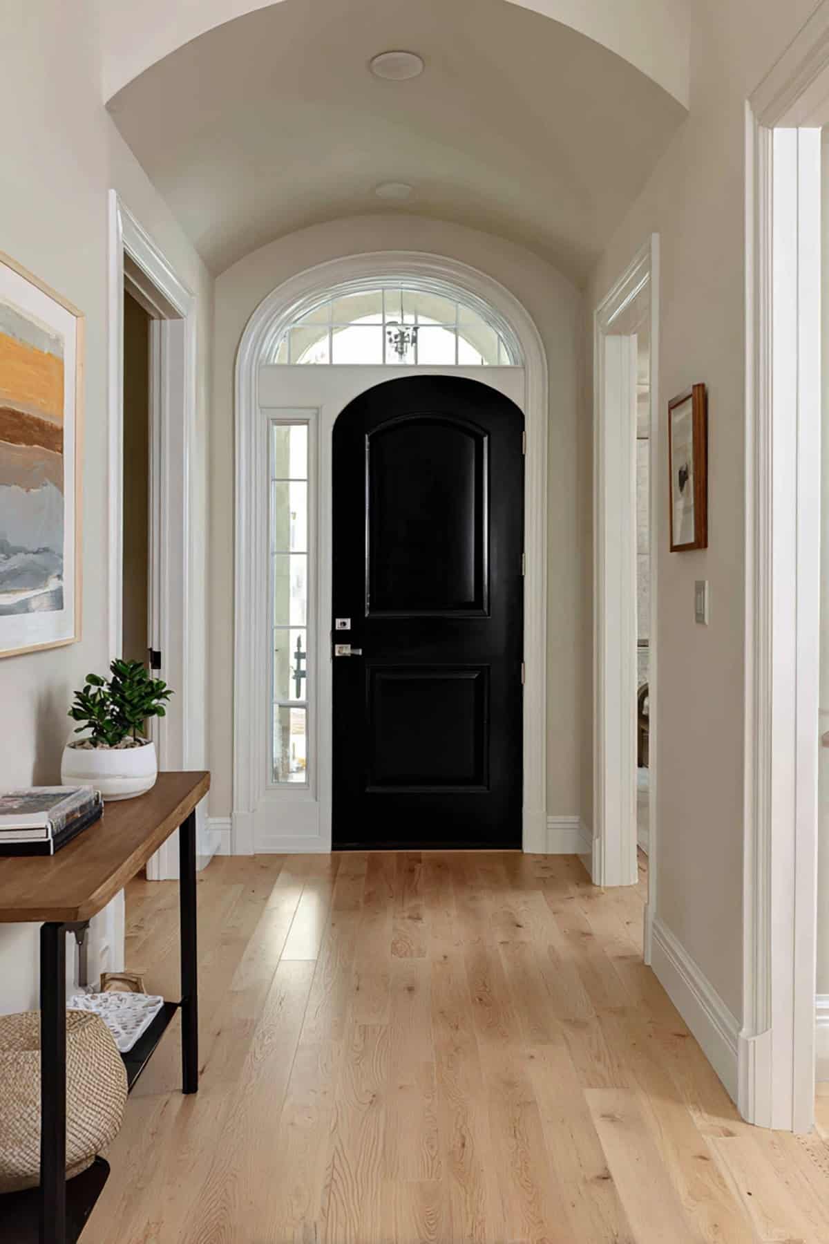 Arched Black Door with Crisp White Trim