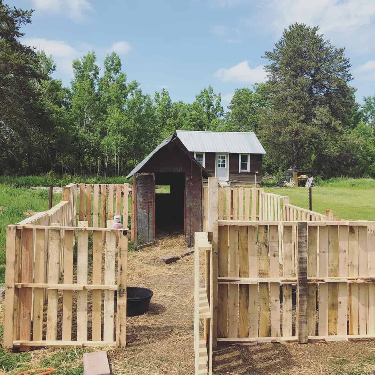 Chicken Coop