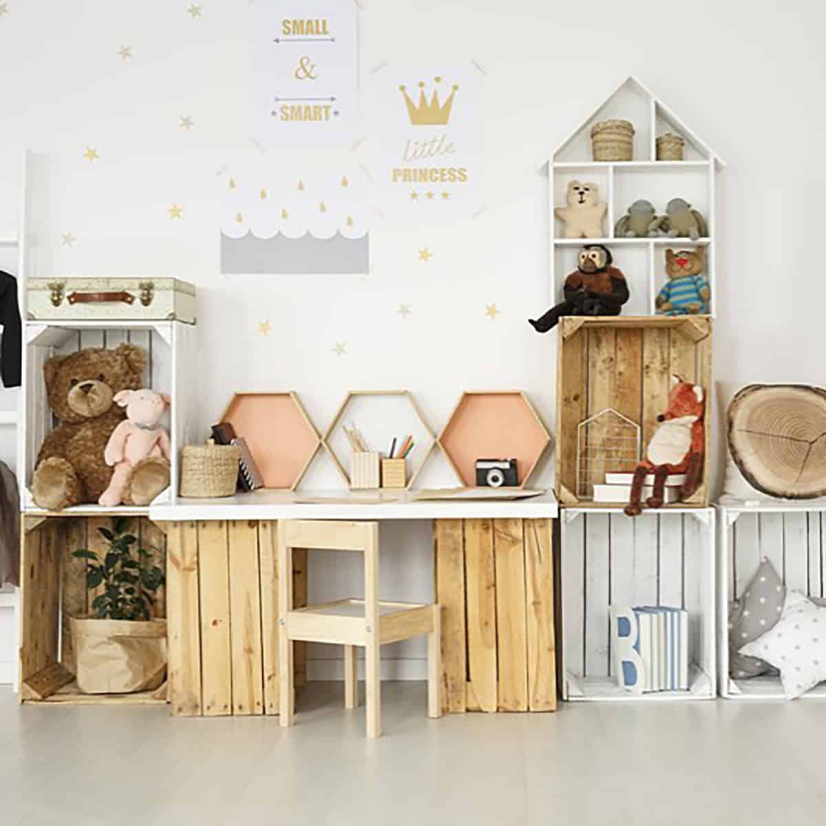 Doll Showcase
