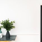 Interior Black Doors with White Trim