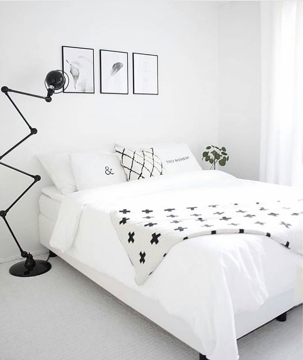 Simply White