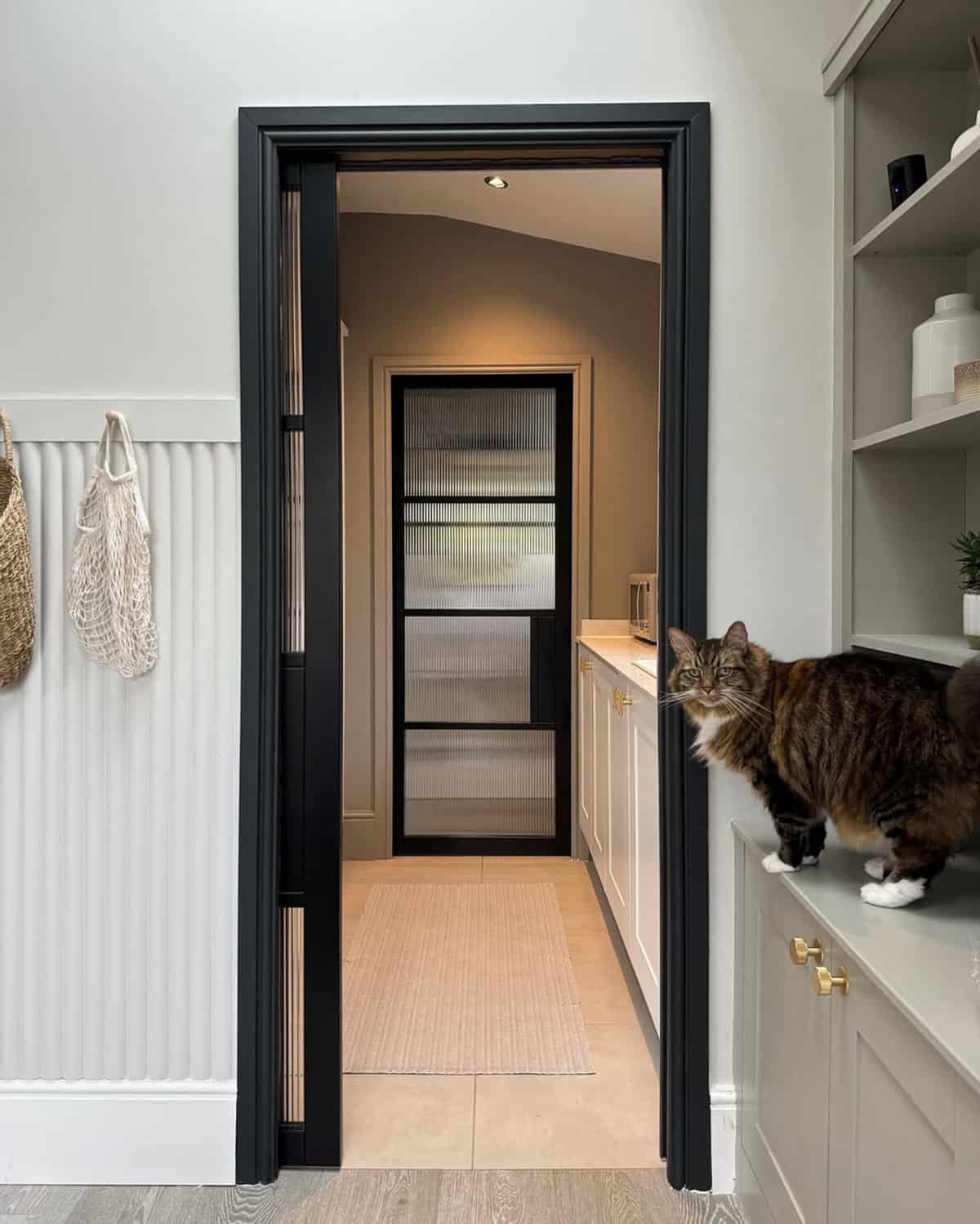 The Cat Approves
