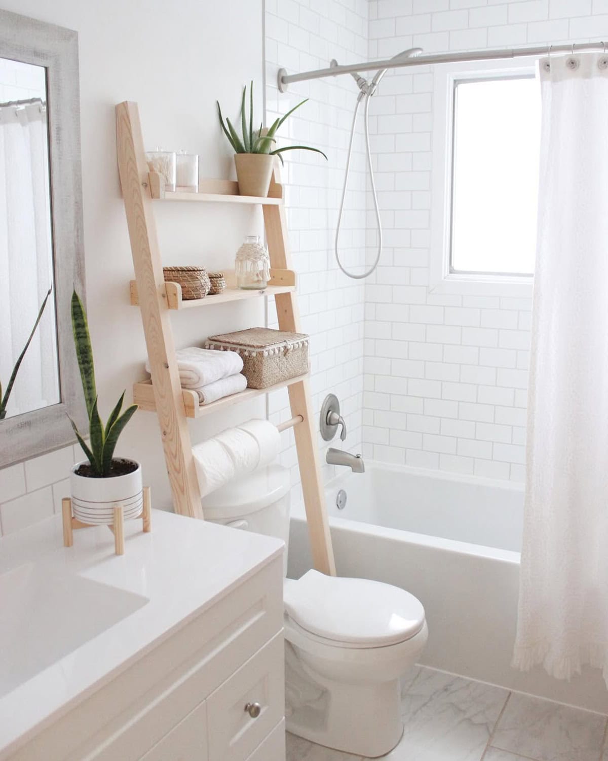 Bathroom Ladders