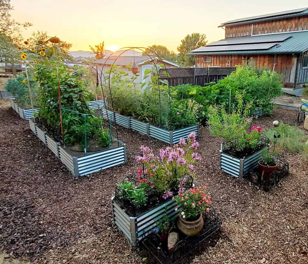 Create a Front Garden Using Raised Beds