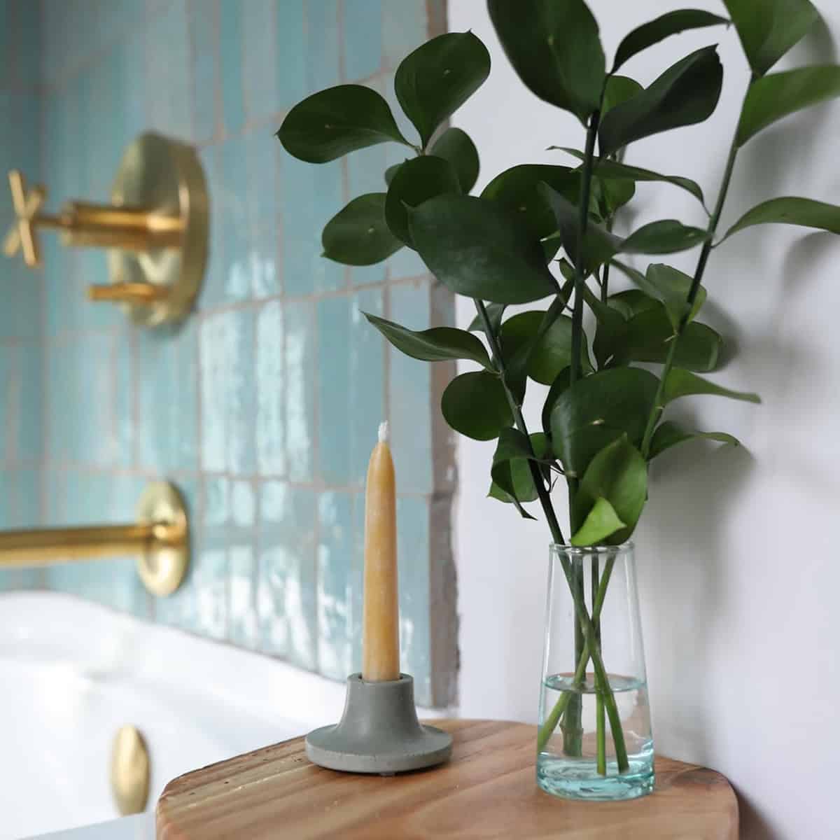 Eucalyptus Leaves