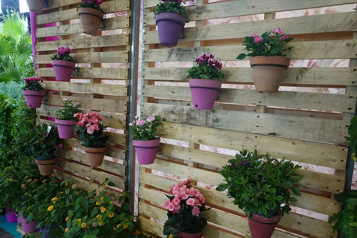 Flower Wall with Mixed Clay Pots