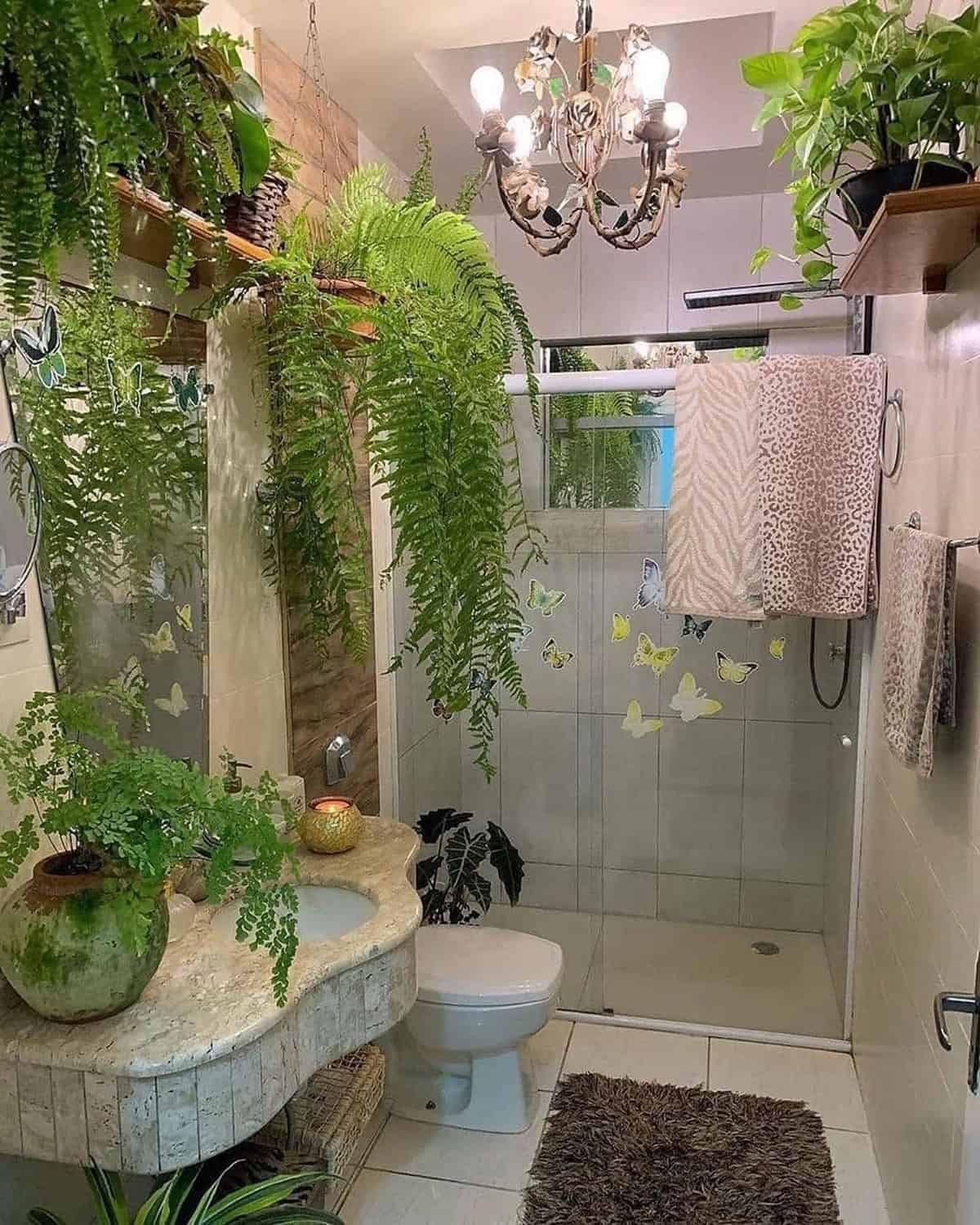 Hanging Air Plants