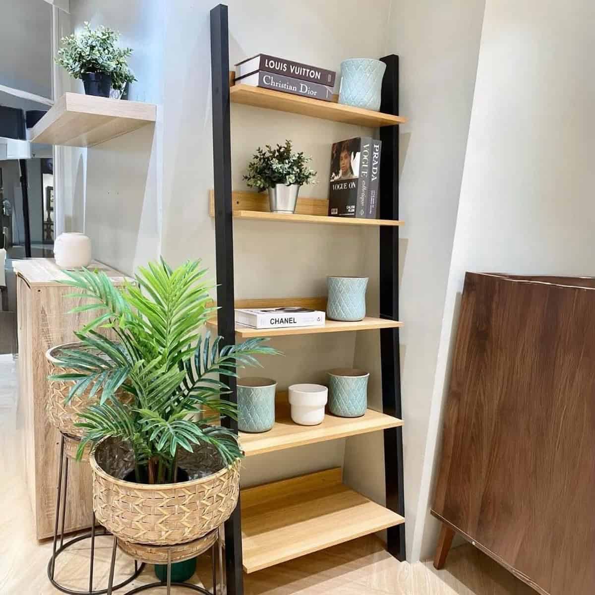 Ladder Shelf Display