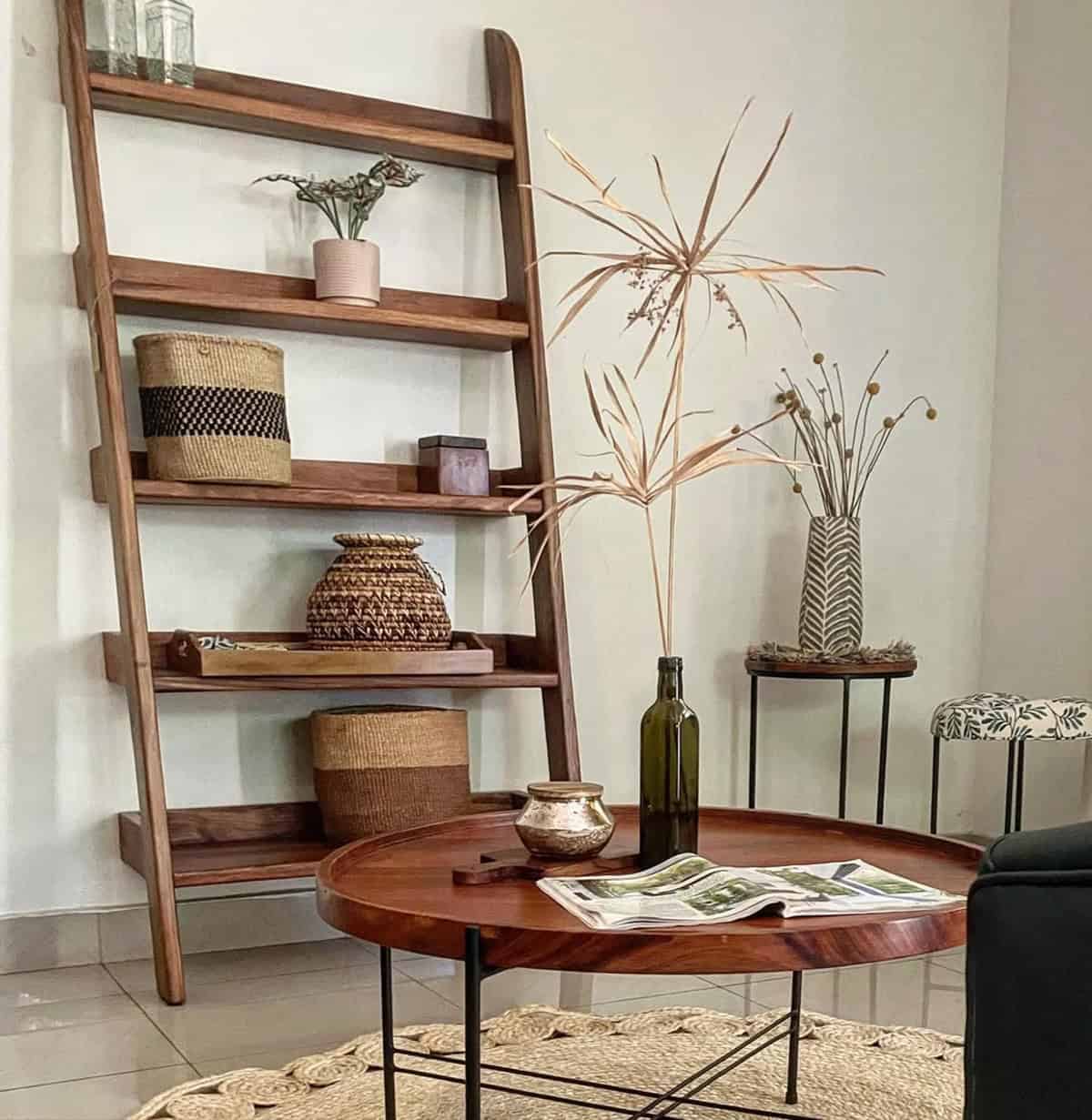 Ladder Shelf