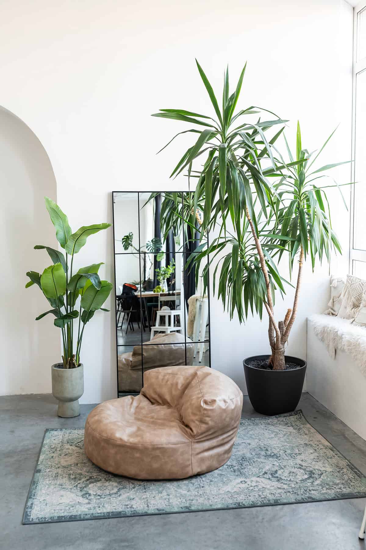 Minimalist Retreat with Tall Plants and Modern Decor