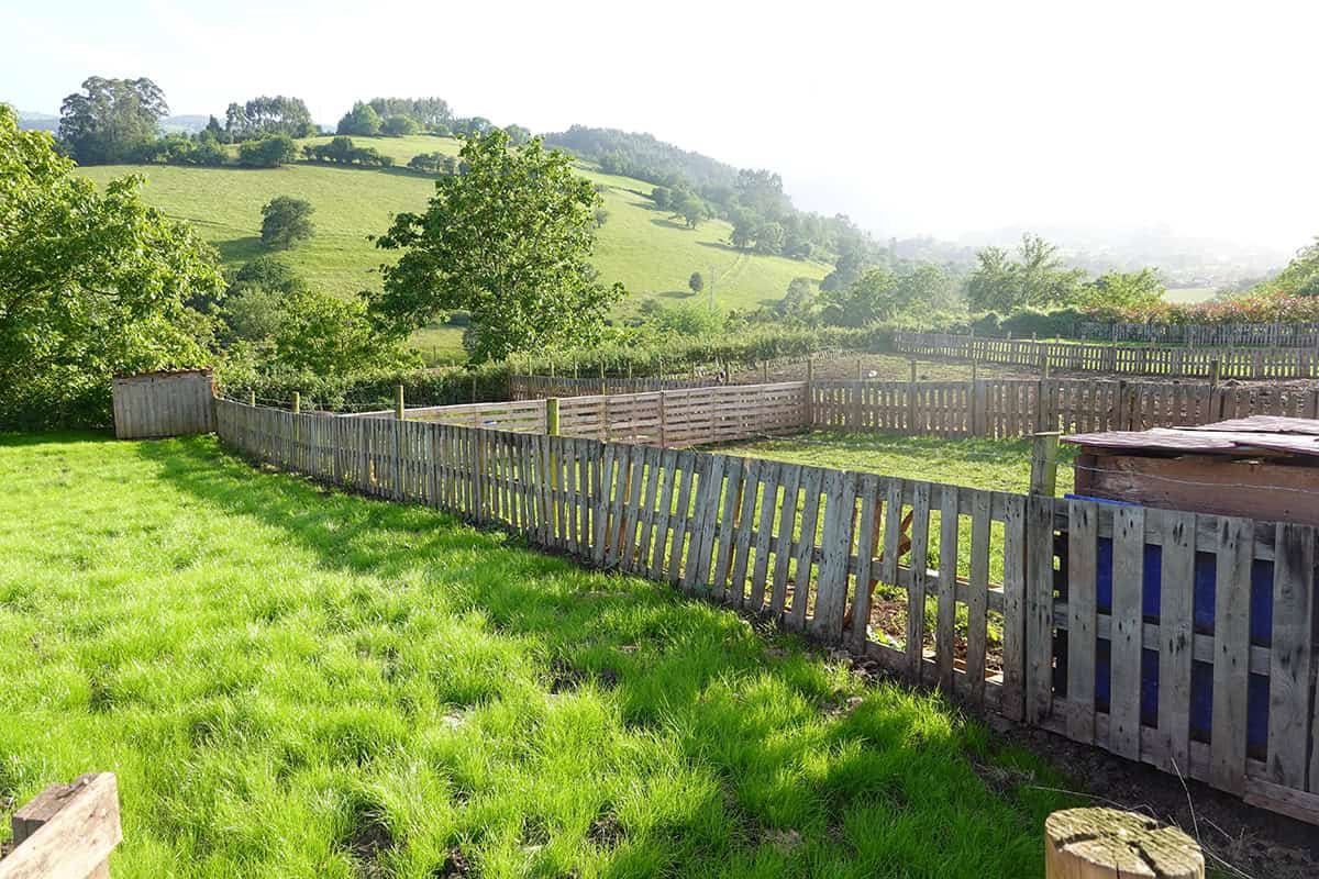 Pallet Fence Ideas