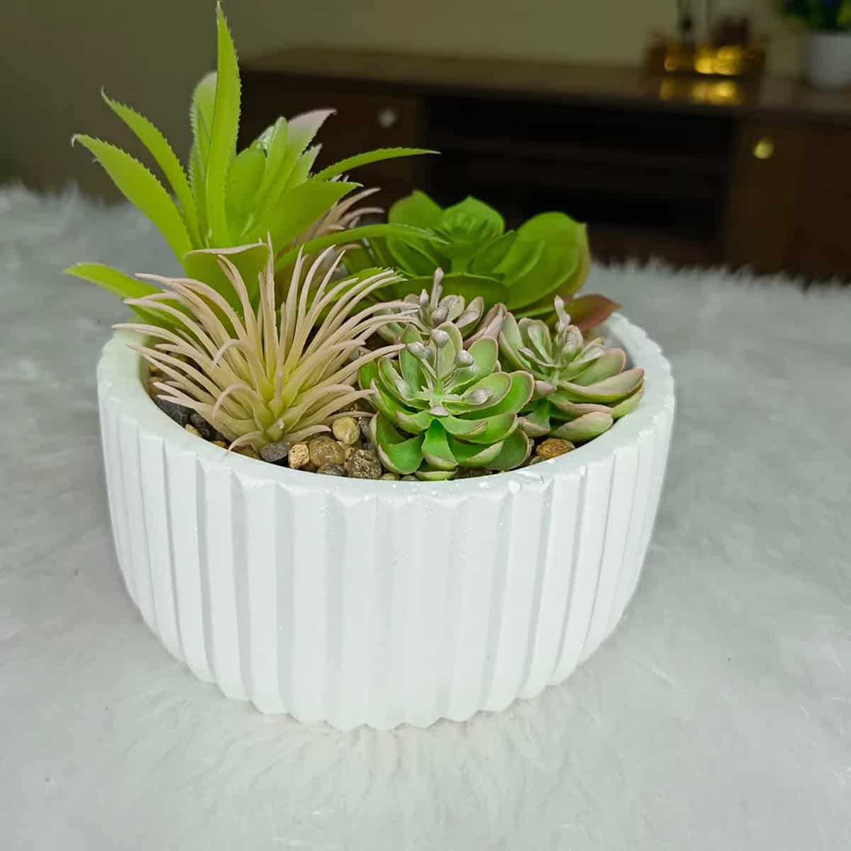 Potted Plant