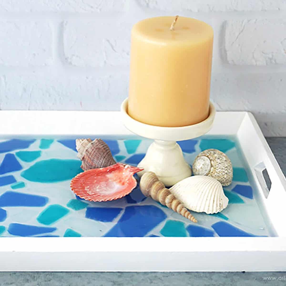 Seashells