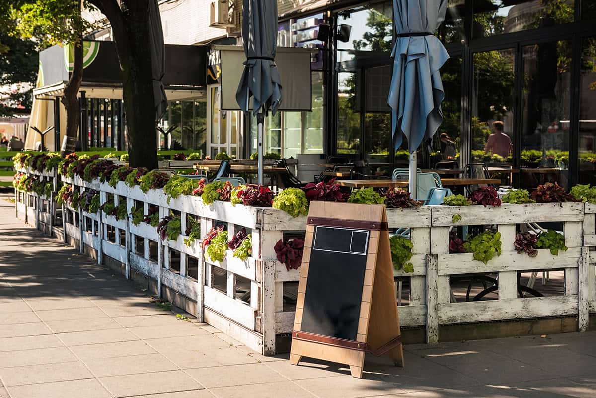 Urban Patio Fence with Edible Greens
