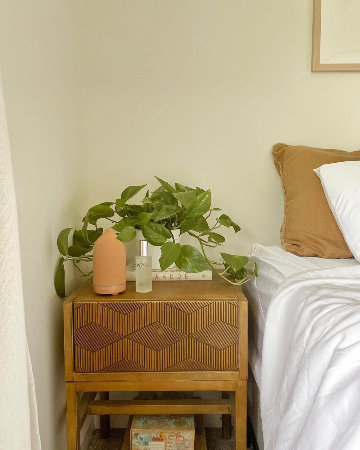 Use a Small Plant
