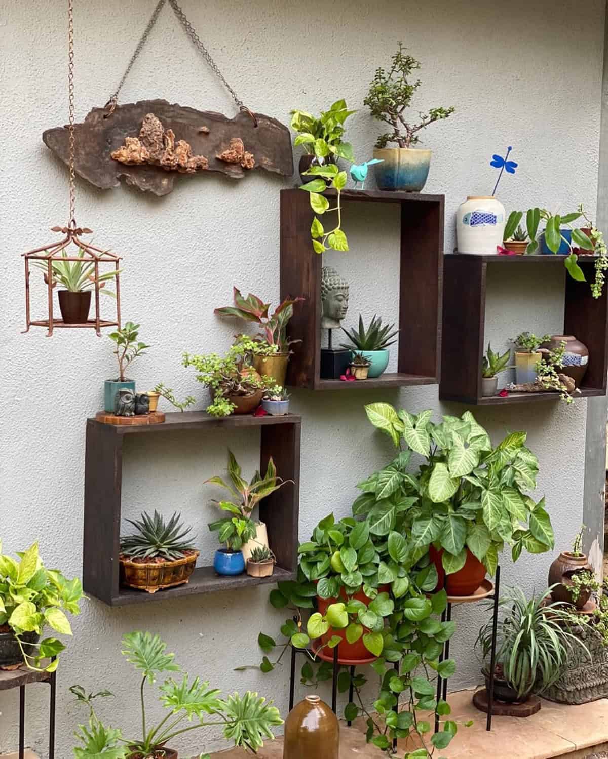 Vertical Wall Garden