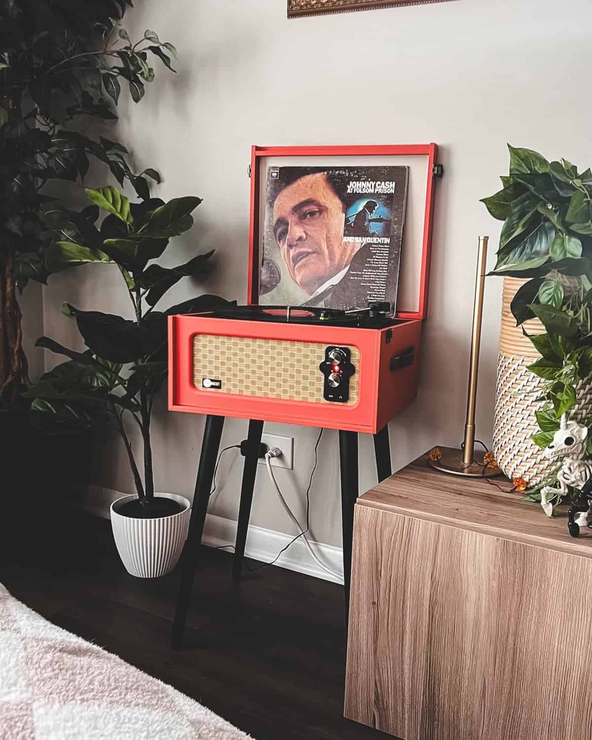 Vintage Record Display