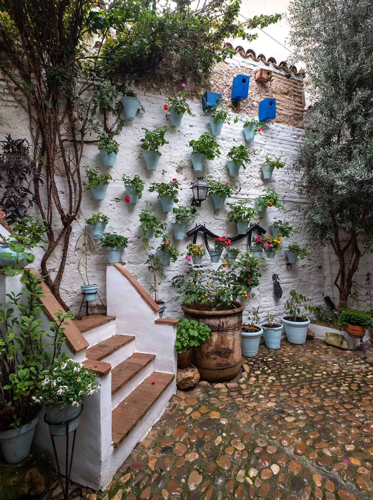 Andalusian Courtyard with Hanging Pots