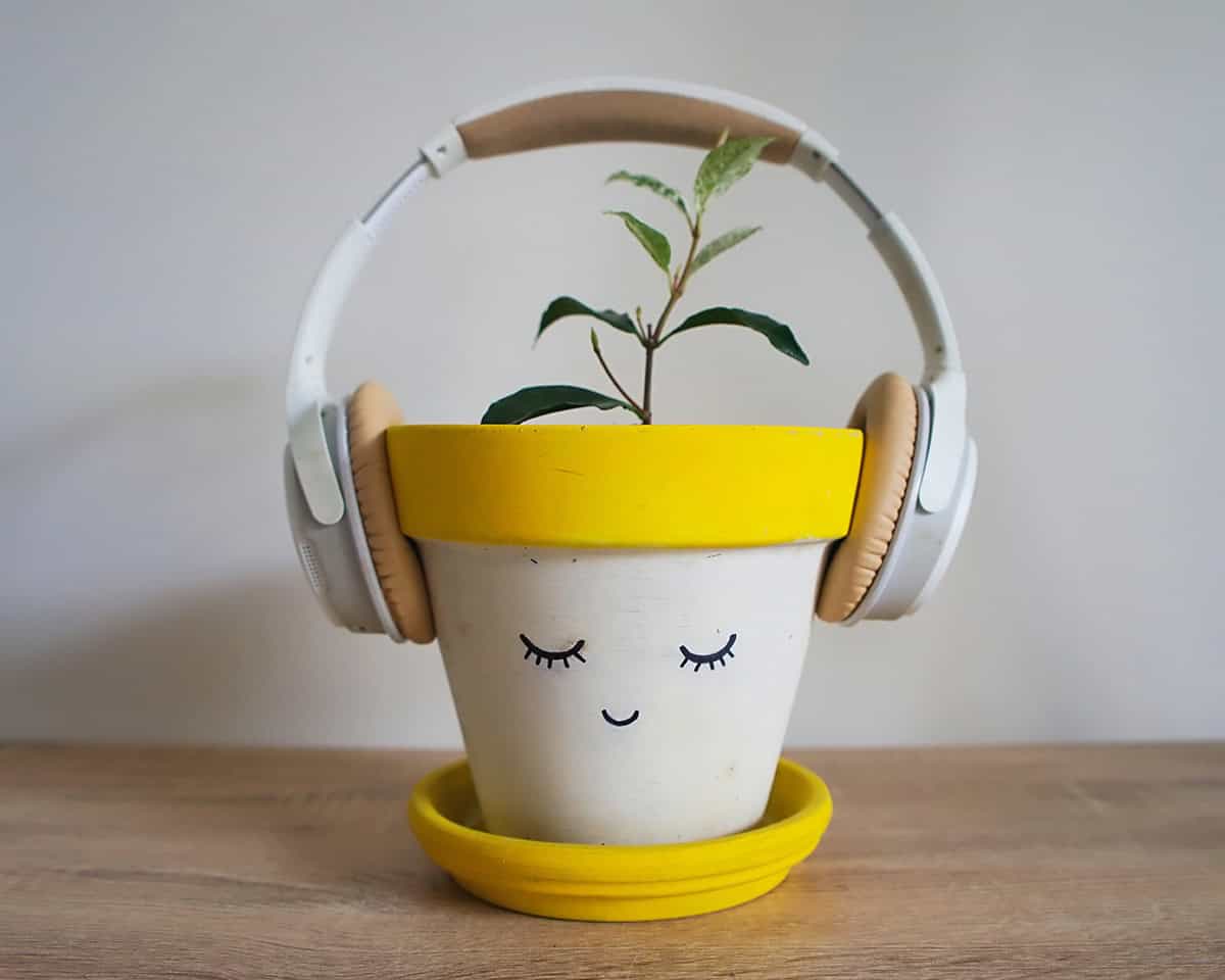 Chill Vibes from a Pot with Headphones