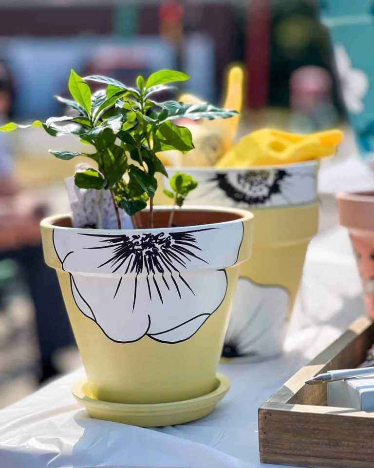 44 DIY Painted Flower Pot Ideas Anyone Can Try