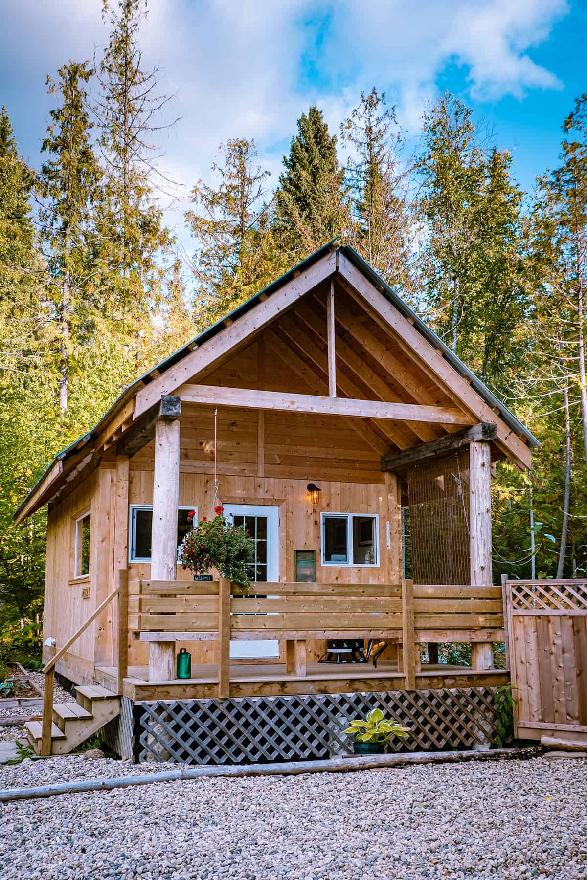 Forest Cabin Retreat with Exposed Timber