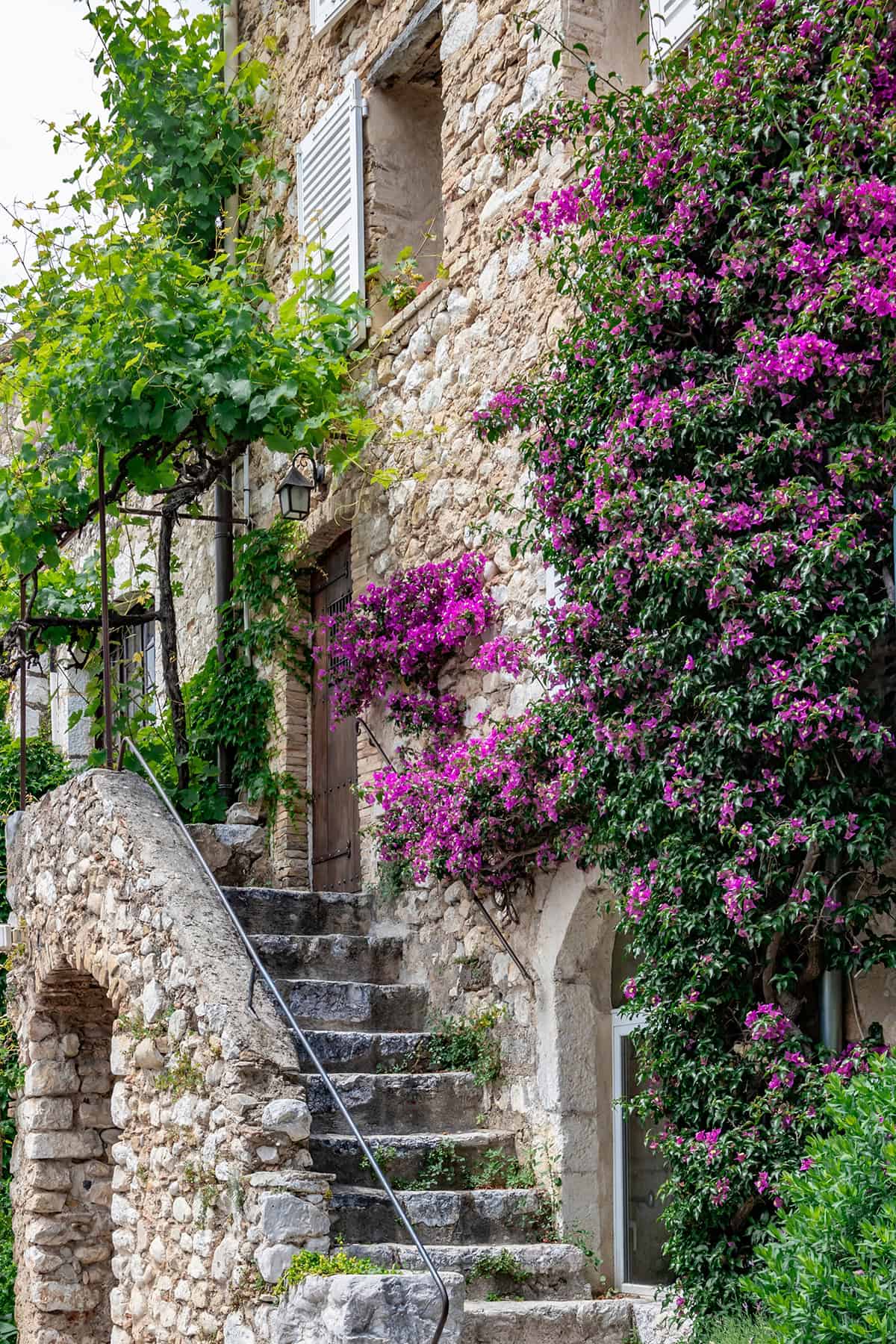 French Stone House with Bougainvillea